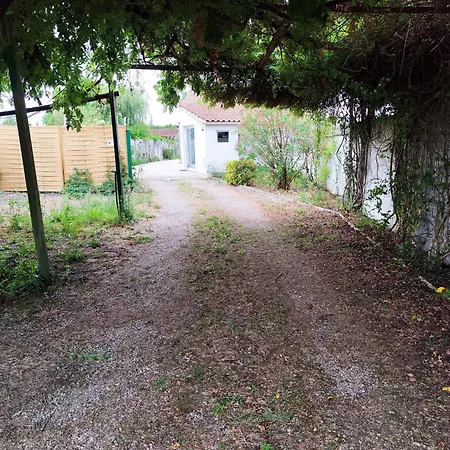Pouzet 1 * Saujon